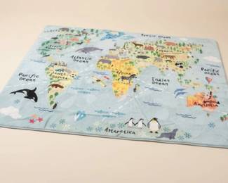 Animal World Map Play Mat