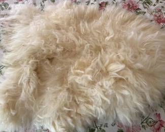 Polar sheep fleece. https://modestlambestatesales.hibid.com/