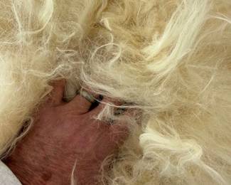 Plush. https://modestlambestatesales.hibid.com/