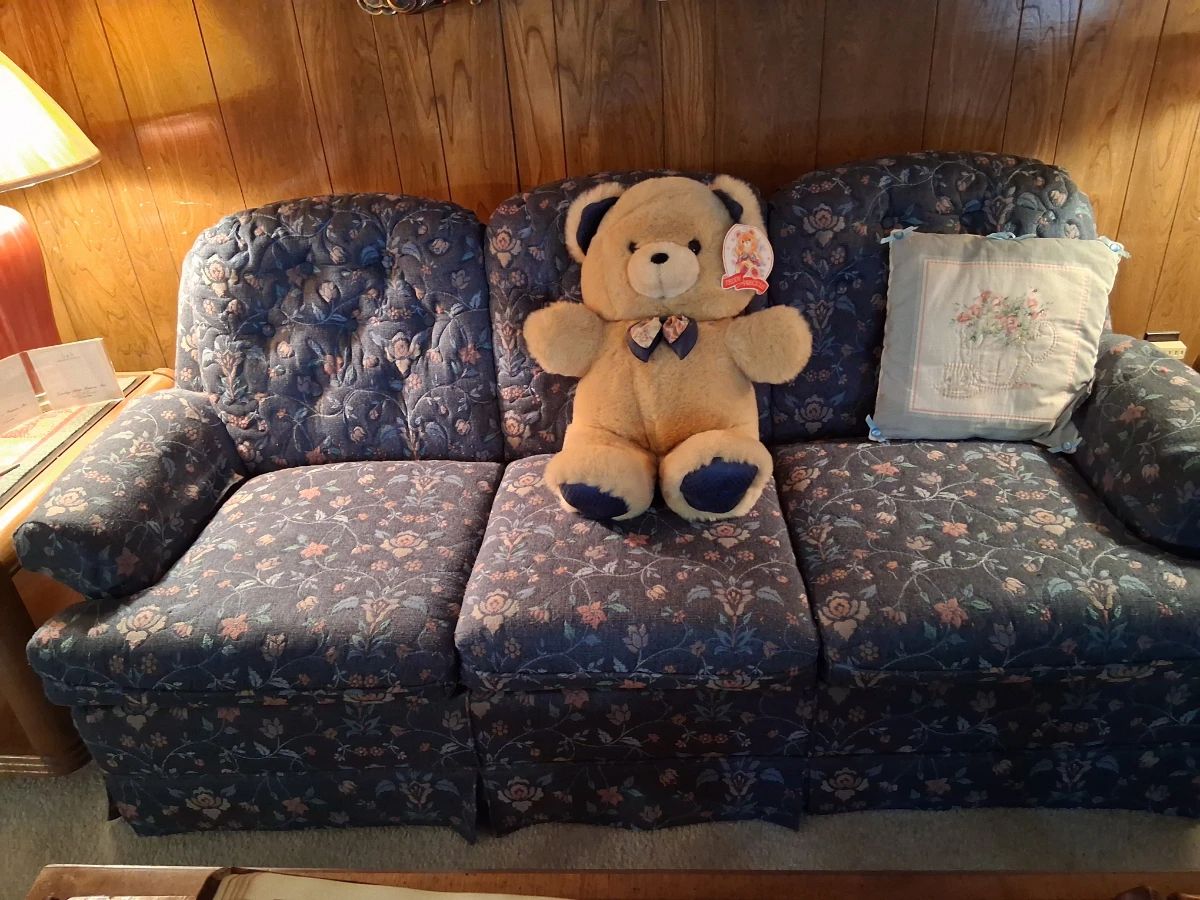 Cute queen sleeper sofa