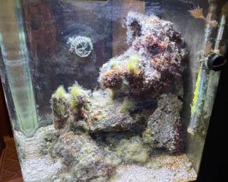 LED Bio Cube  aquarium