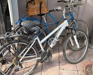 A Momentum  and a Passage All Terra Fitness Series bicycles