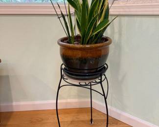 25 HappyHealthySnakePlantinCeramicPotonMetalStand