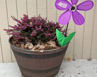 170 RedResinWhiskeyBarrelPlanterwithEricaCarneaPlant