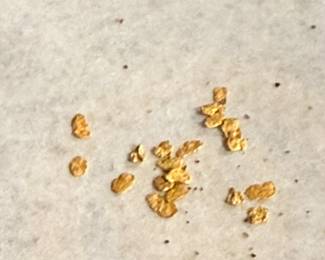 199 11gofAlaskanPannedGoldNuggets