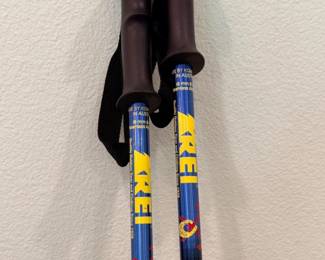 140 REINordicWalkingSticksWithLekiAlpineTips