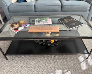 Metal/Glass Coffee Table