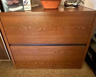 Large 2-Drawer File Cabinet