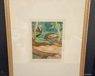 Wild Turkey from Thomas Gentry's 1882 Publication "Nests and Eggs of Birds of The United States