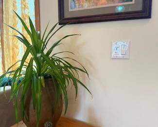 Large potted Spider plant & Ned Kelly bust