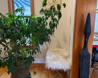 Faux fur ottoman bench & Huge 5’x 6’ potted schefflera 