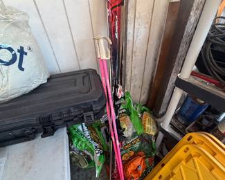 Nordica alpine skis paired with pink poles