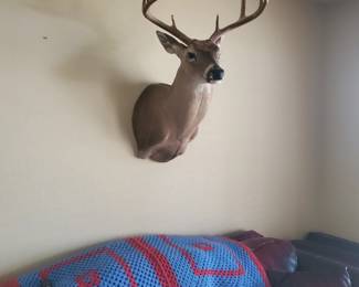 deer mount
