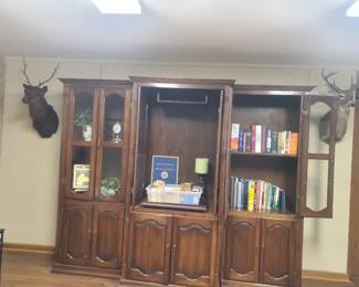 entertainment center