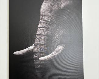 Wall art- elephant