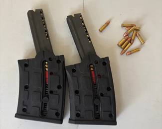 Two .22LR Magazines With .22 Hollow Point Rounds