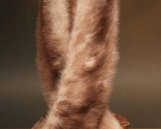  Pastel Mink Fur Shawl Collar With Velvet Lining
