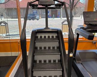 Life Fitness PowerMill Climber