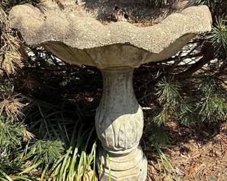 Concrete Pedestal Bird Bath