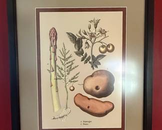 French Botanical Fruit & Vegetable Prints (Set of 4)