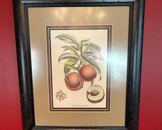 French Botanical Fruit & Vegetable Prints (Set of 4)