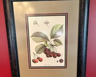 French Botanical Fruit & Vegetable Prints (Set of 4)