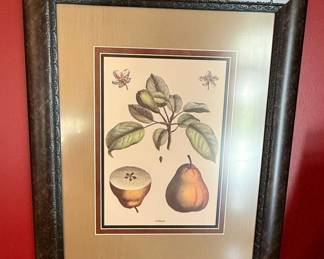 French Botanical Fruit & Vegetable Prints (Set of 4)