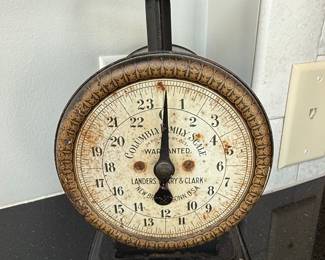 Columbia Family Scale by Landers, Frary & Clark