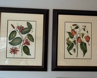 Set of 2 Botanical Prints - Passion Flower