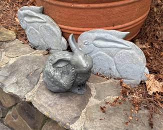 rabbits in the garden