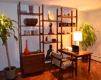 This picture is to showcase the wall unit only. 