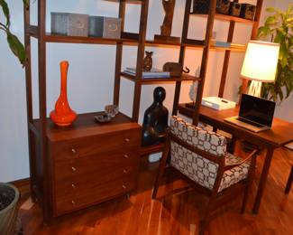 This picture is to showcase the wall unit only. 