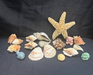 Starfish Shells Soaps