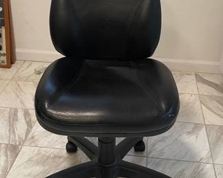 Ergonomic Office Chair with Casters