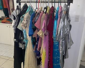 Embellished Indian Sarees and Garments