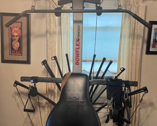 Bowflex X2 home gym exercise equipment...resistance training for muscle development....