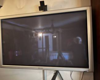 Phillips Television (50" diagonal/25" x 44")