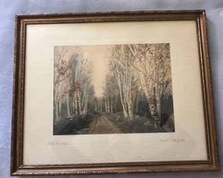 Fred Thompson "Birch Road" Photograph