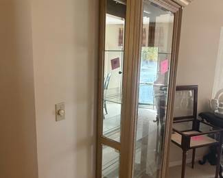 Pulaski Furniture Lighted Curio Cabinet with Mirrored Back