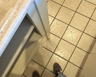 Everlast Hand Forged Aluminum Casserole Dish with Pea Pod Lid