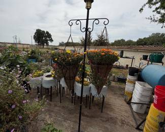 Auction Item: https://www.estatesales.net/CA/Woodland/95776/marketplace/81013