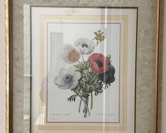 Lot 100 | Framed Botanical Print "Anemone Simplex"
