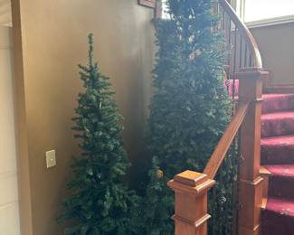 Christmas trees