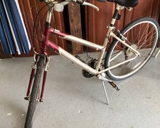 Women’s Schwein bicycle