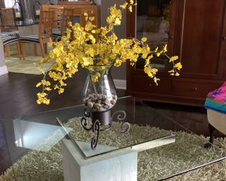 Glass top coffee table