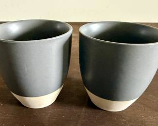Japanese Teacups (2)