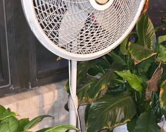 Floor Fan