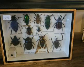 att.mNZz2bY6ACwyds Ut JXAwGjWFgDGzKQtigcDDz67w