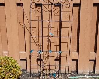 A black metal garden trellis to support climbing plants