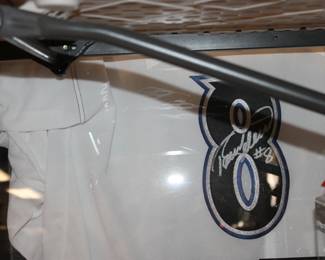 Selanne Signed away Jersey